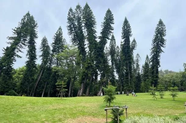 2022廈門植物園暑假免費嗎