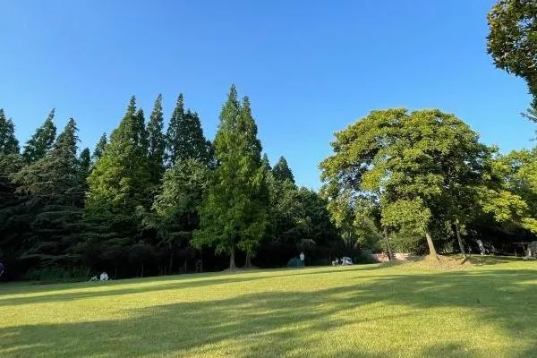 上海避暑的森林公園有哪些景點
