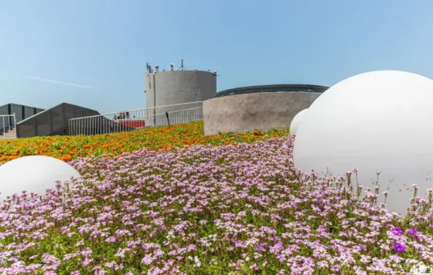 7月21日起廣富林文化遺址每周三免費開放 上海天文館門票和開放時間