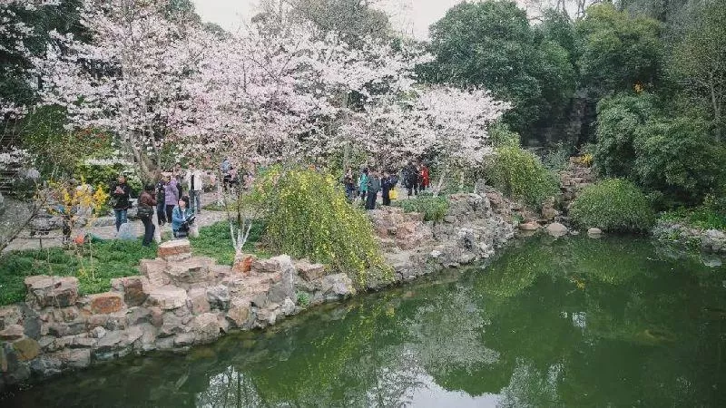 2018年上海魯迅公園櫻花展活動(時間+交通+地址)