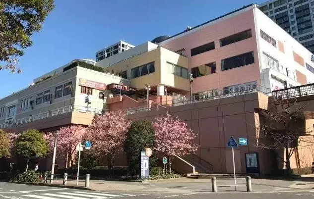 11月日本游攻略 日本自由行旅游詳細攻略 11月日本游攻略 日本自由行旅游詳細攻略