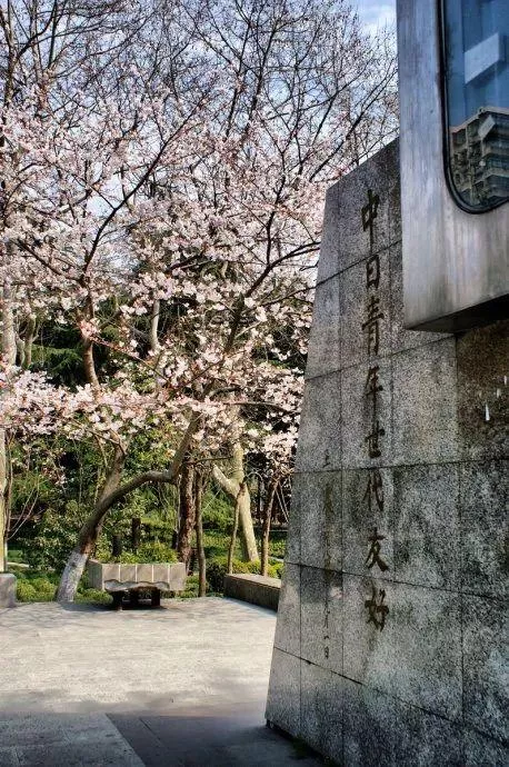 2018年上海魯迅公園櫻花展活動(時間+交通+地址)