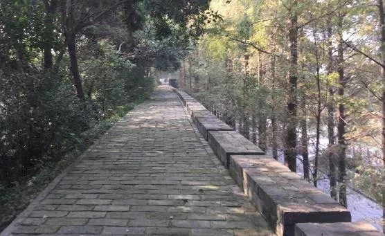 荊州古城自駕旅游攻略