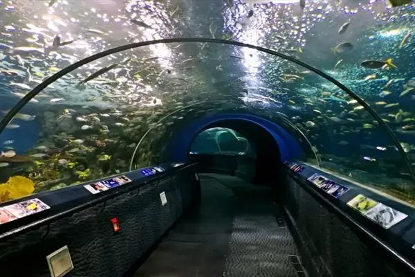 2022上海海洋水族館門票多少錢一張?