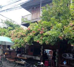 泰國旅游最好的地方是哪里 泰國旅游最好的地方是哪里