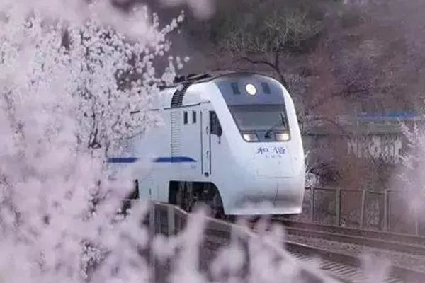 北京最浪漫的櫻花列車 北京櫻花列車攻略