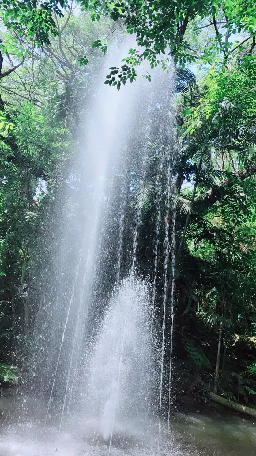 泰國曼谷、沙美島、芭提雅旅游景點圖片