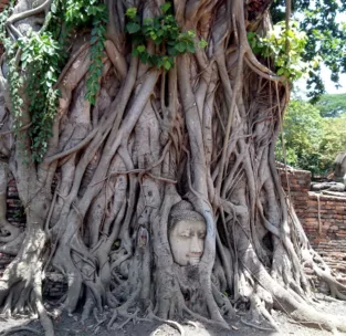 泰國旅游最好的地方是哪里 泰國旅游最好的地方是哪里
