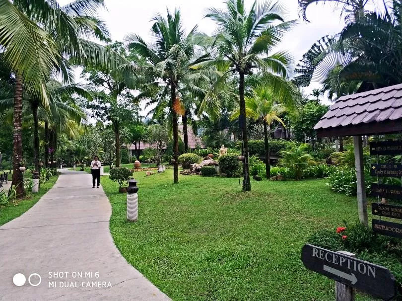 泰國芭提雅-象島-曼谷-清邁自駕游攻略 泰國芭提雅-象島-曼谷-清邁自駕游攻略