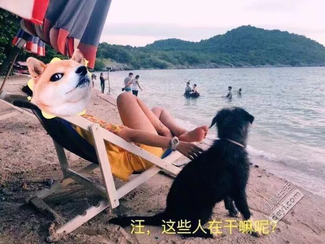 泰國有哪些好吃的美食和特產