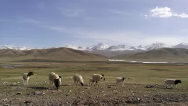 新疆自駕游攻略 新疆有什么旅游景點 新疆自駕游攻略 新疆有什么旅游景點