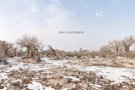 新疆有哪些旅游景點 新疆有什么好吃的 新疆有哪些旅游景點 新疆有什么好吃的