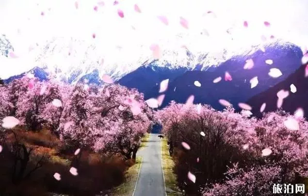 成都自駕去西藏什么時候最安全最好 成都自駕去西藏什么時候最安全最好