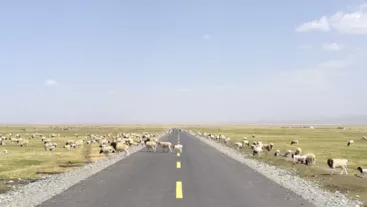 新疆自駕游攻略 新疆有什么旅游景點 新疆自駕游攻略 新疆有什么旅游景點