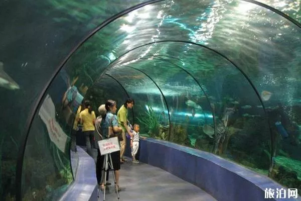 武漢海洋館有哪些