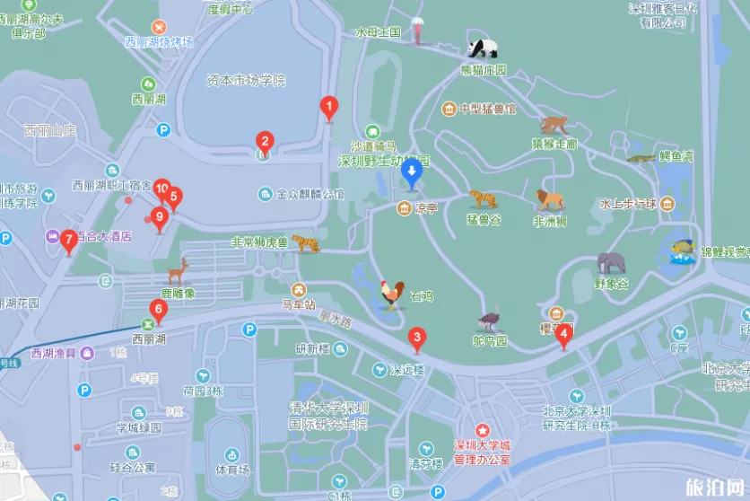 深圳野生動物園暑假門票有什么優惠+夜場看點 深圳野生動物園暑假門票有什么優惠+夜場看點