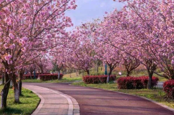 2022年3月成都公園城市花粉指數