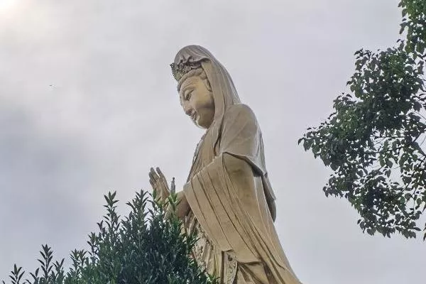 第一次去普陀山要注意什么 旅游注意事項 第一次去普陀山要注意什么 旅游注意事項