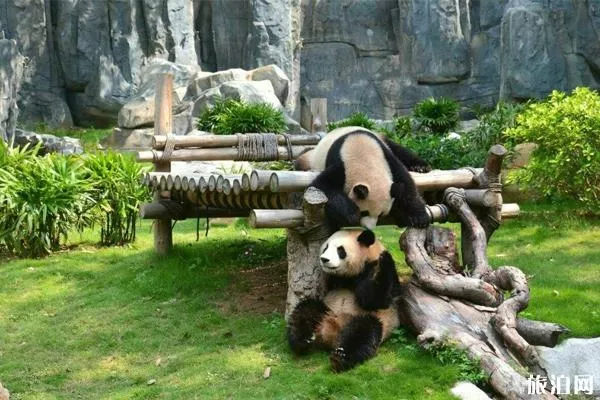 深圳野生動物園暑假門票有什么優惠+夜場看點 深圳野生動物園暑假門票有什么優惠+夜場看點