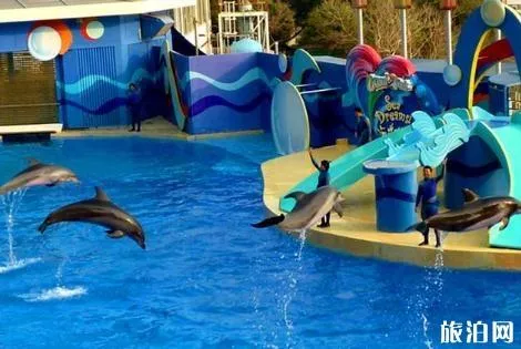 2018煙臺海昌鯨鯊海洋公園門票價格+年卡價格+優惠信息 2018煙臺海昌鯨鯊海洋公園門票價格+年卡價格+優惠信息