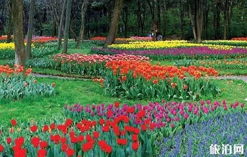 2018武漢植物園門票價格+優惠信息+游玩線路 2018武漢植物園門票價格+優惠信息+游玩線路