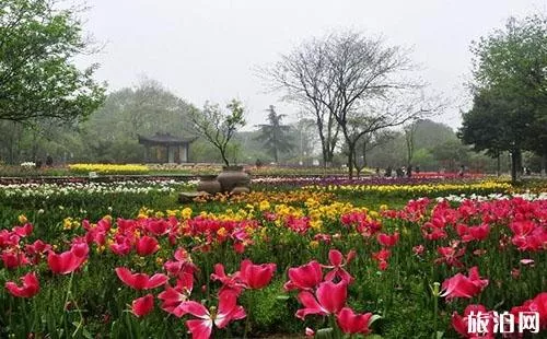 2018武漢植物園門票價格+優惠信息+游玩線路 2018武漢植物園門票價格+優惠信息+游玩線路