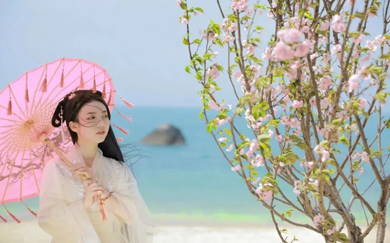 海南粉嫩櫻花季，來享春日限定的浪漫告白！