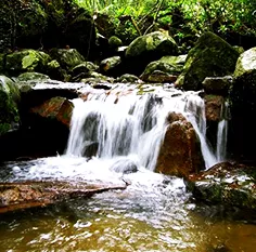 吊羅山國家森林公園