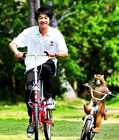 南灣猴島生態旅游區