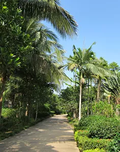 興隆熱帶植物園