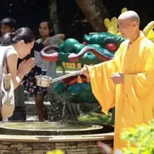 飄香端午，粽情萬寧
