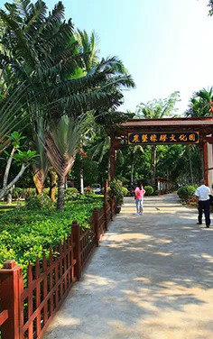 海南農墾萬嘉果熱帶植物園