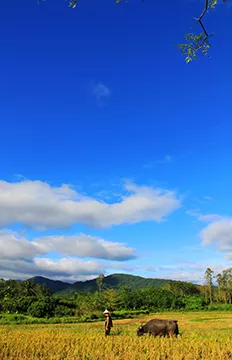 布隆賽鄉村文化旅游區