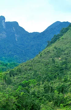 鸚哥嶺森林旅游區