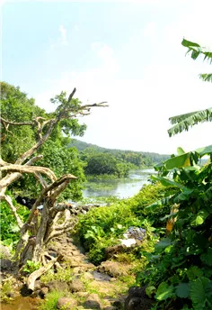龍門冷泉濕地公園