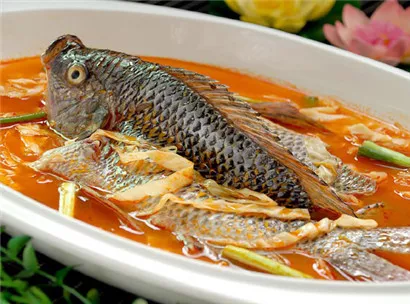 屯昌羅非魚