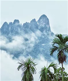 七仙嶺溫泉國家森林公園