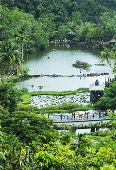 海南呀諾達雨林文化旅游區