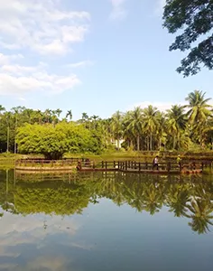 興隆熱帶藥用植物園