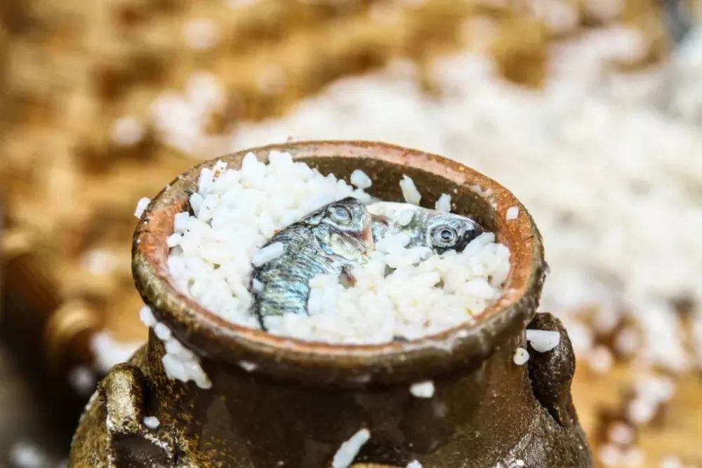 魚茶