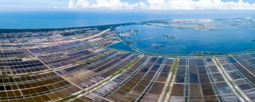 鶯歌海鹽場