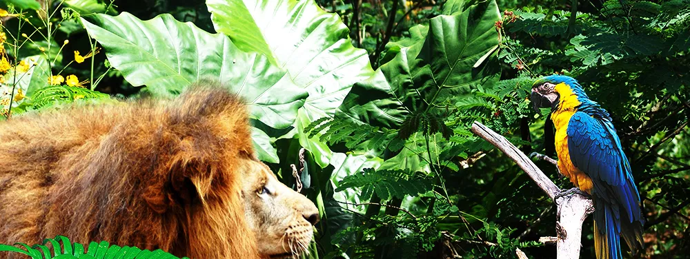 海南熱帶野生動植物園
