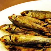 會沖浪的魚