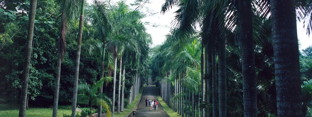 海南熱帶植物園