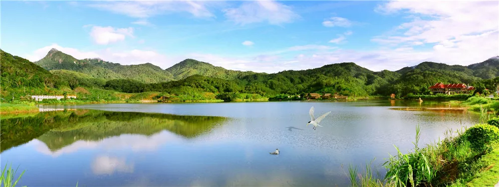 尖峰嶺國家森林公園天池湖畔