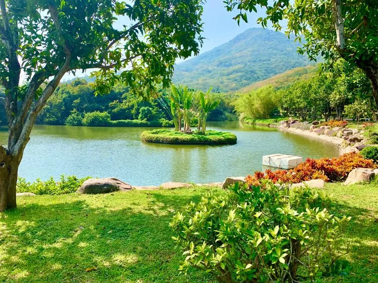 南山文化旅游區-景區內風景