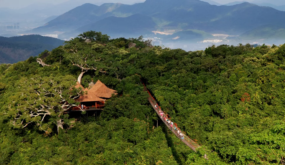 亞龍灣熱帶天堂森林旅游區過江龍索橋