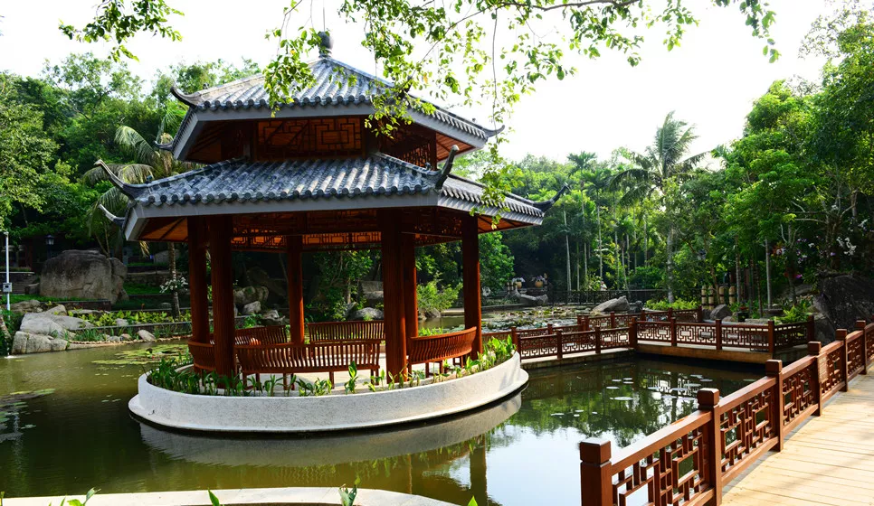 海南三亞亞龍灣熱帶天堂森林公園蘭花谷