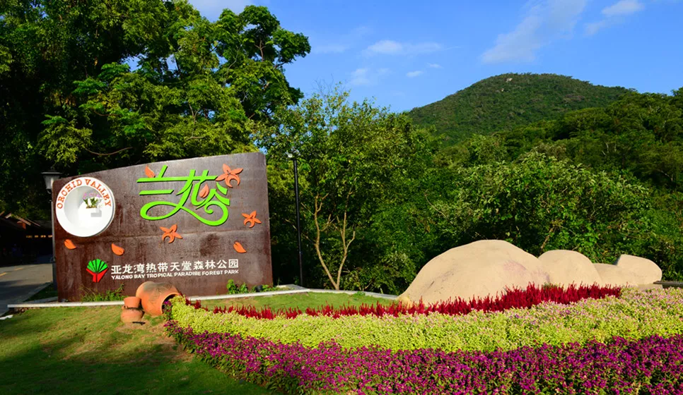 海南三亞亞龍灣熱帶天堂森林公園蘭花谷