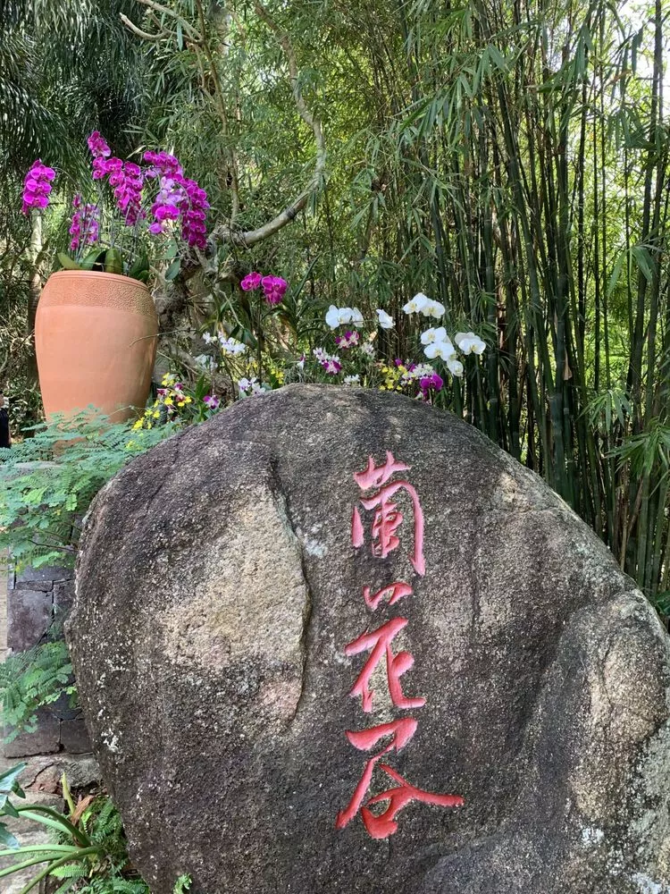 海南三亞亞龍灣熱帶天堂森林公園蘭花谷